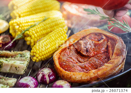 Barbecue grill concept Barbecue grill concept 26071374