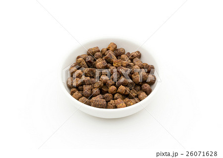 ビーブレッド: Bee Bread 26071628