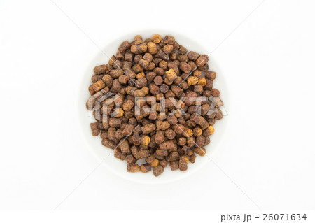 ビーブレッド: Bee Bread 26071634