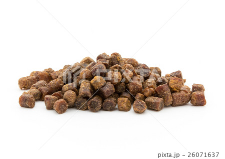 ビーブレッド: Bee Bread 26071637