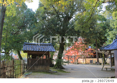 Daikaku-ji, kyoto 26072649