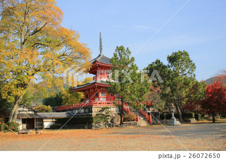 Daikaku-ji, kyoto 26072650