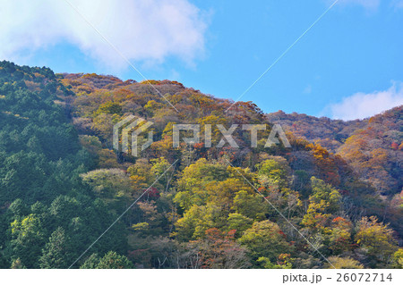 比良山系の紅葉 26072714