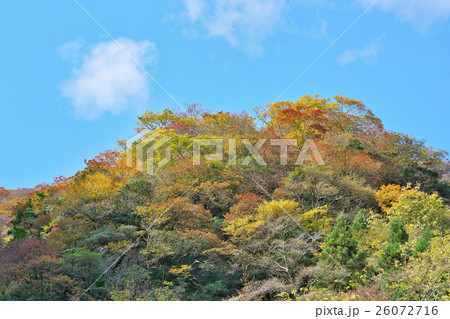 比良山系の紅葉 26072716