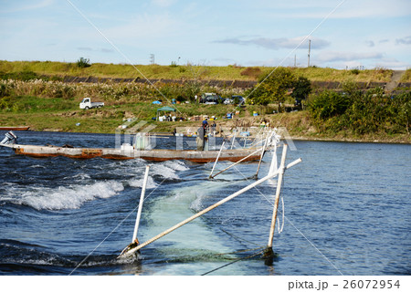 瀬張り網漁 岐阜 長良川 瀬張り網漁 岐阜 長良川 26072954