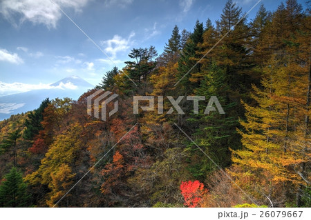 三つ峠山の紅葉と富士山遠望 三つ峠山の紅葉と富士山遠望 26079667
