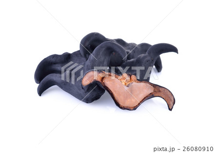 boiled bull horn Shaped Water Caltrop nut on white boiled bull horn Shaped Water Caltrop nut on white 26080910