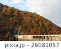 紅葉 落ち葉 自然 秋 26081057