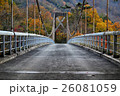 紅葉 落ち葉 自然 秋 26081059