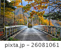 紅葉 落ち葉 自然 秋 26081061