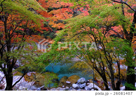 川迫川の秋（奈良県吉野郡天川村） 26081407