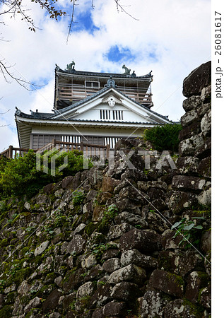 越前大野城（2016.10） 26081617