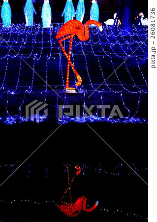 イルミネーション イルミネーション 26081736