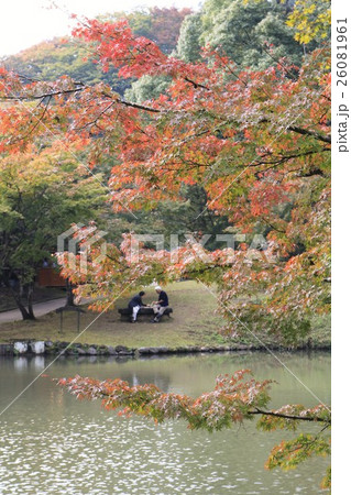 紅葉の下で仲良くお弁当を食べる老夫婦～大分県　用作公園～ 26081961