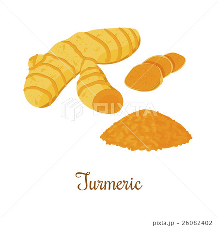 Turmeric root with powder isolated Turmeric root with powder isolated 26082402