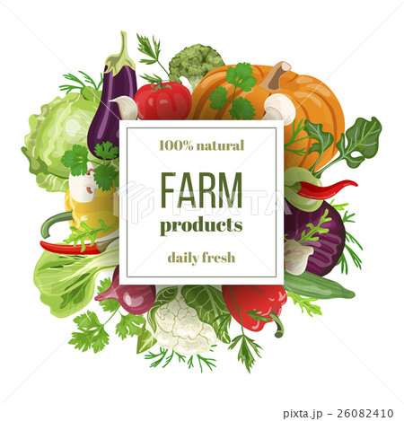 Set of fresh vegetables with squared banner. 26082410