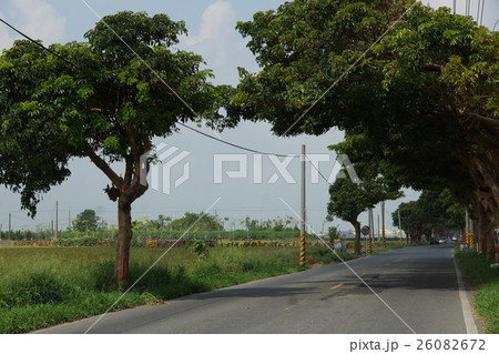 自動車道 自動車道路 モーターウェイ 26082672