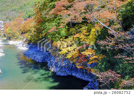 紅葉の流れ 紅葉の流れ 26082752