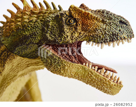 dinosaur dinosaur 26082952
