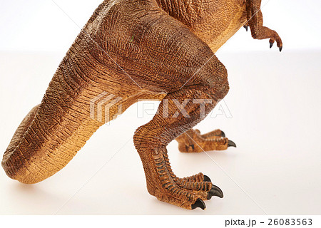 Dinosaur Dinosaur 26083563