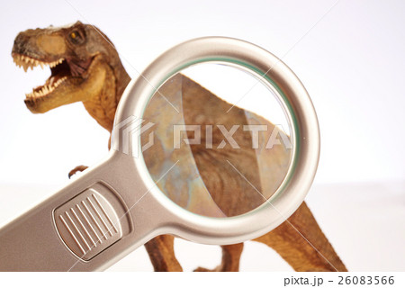 Dinosaur 26083566