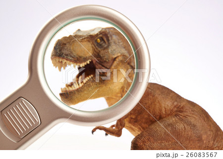 Dinosaur Dinosaur 26083567