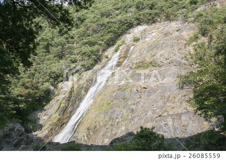 大川の滝　屋久島 26085559