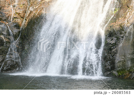 大川の滝 屋久島 大川の滝 屋久島 26085563