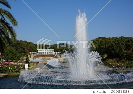 兵庫県神戸市須磨区の丘陵に広がる都市公園「須磨離宮公園」 兵庫県神戸市須磨区の丘陵に広がる都市公園「須磨離宮公園」 26085883