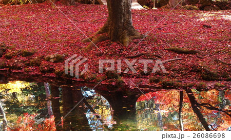 雲場池の紅葉 雲場池の紅葉 26086698