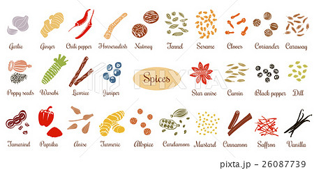 Big set of simple flat culinary spices 26087739