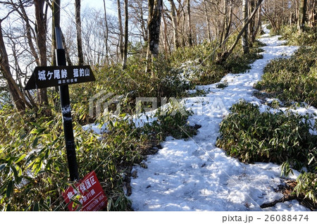 甲相国境尾根のブナ沢乗越 甲相国境尾根のブナ沢乗越 26088474