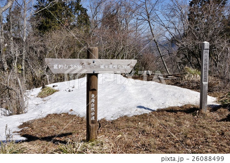 早春の城ヶ尾山山頂 早春の城ヶ尾山山頂 26088499