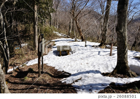 雪積もる甲相国境尾根の城ヶ尾峠 雪積もる甲相国境尾根の城ヶ尾峠 26088501