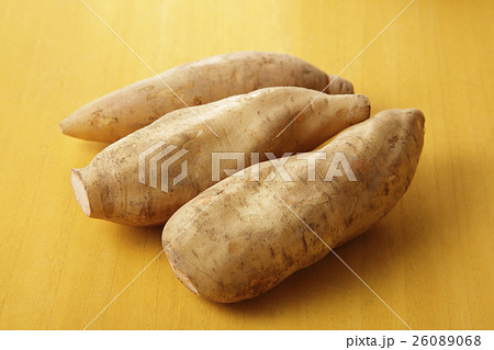 ヤーコン ヤーコン 26089068