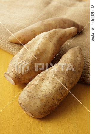 ヤーコン ヤーコン 26089242