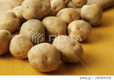 じゃがいも 馬鈴薯 じゃがいも 馬鈴薯 26089508
