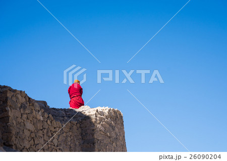 lama in red clothes standing on the edge of wall lama in red clothes standing on the edge of wall 26090204