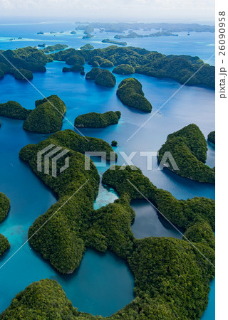 マリンレイク - パラオ 26090958