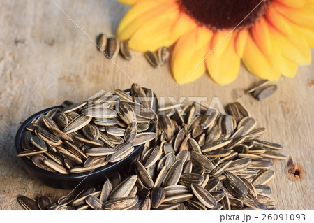 Sunflower seeds Sunflower seeds 26091093