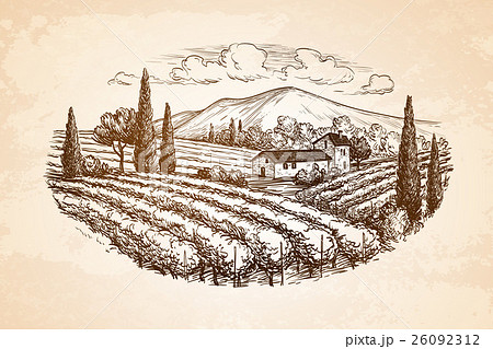 Hand drawn vineyard landscape Hand drawn vineyard landscape 26092312
