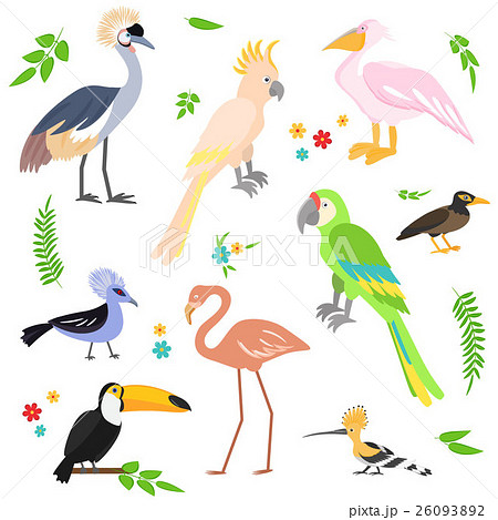 Colorful icons birds. Tropical birds collection. Colorful icons birds. Tropical birds collection. 26093892