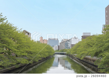 東京都江東区を流れる大横川 26094460