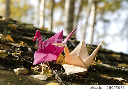 Two origami cranes in the Nature 26095021