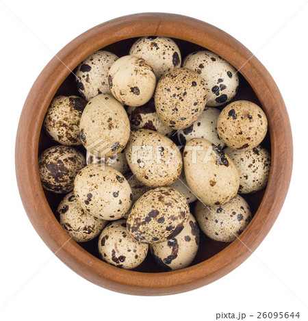 quail eggs in wooden bowl quail eggs in wooden bowl 26095644