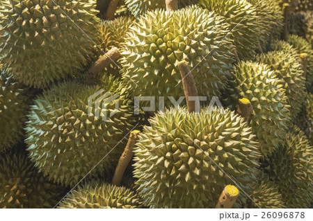 durians 26096878