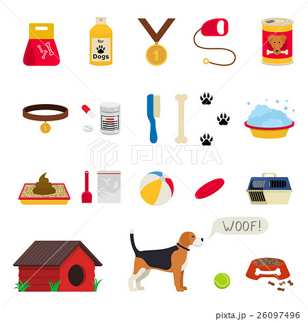 dog's stuff