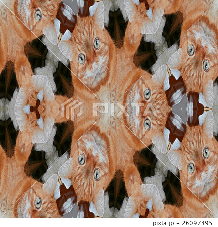 Kaleidoscopic cat seamless generated hires texture Kaleidoscopic cat seamless generated hires texture 26097895