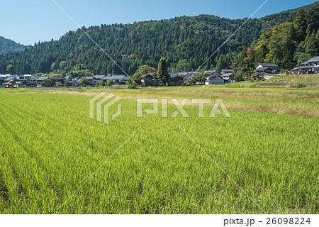 秋の農村風景 26098224
