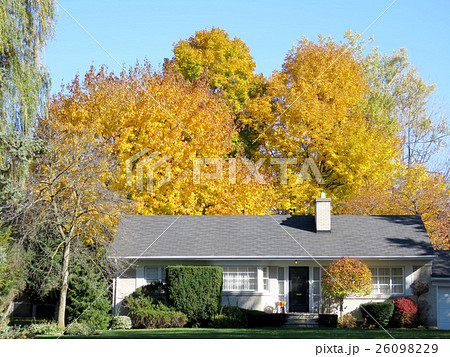 Thornhill house November 2016 Thornhill house November 2016 26098229
